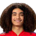 https://img.meegg.com/img/football/player/87359ed9061cfd73513d827263deebcd.png