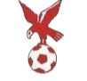 https://img.meegg.com/img/football/team/4802d26df935b78bb2fcdbbff36e8864.png